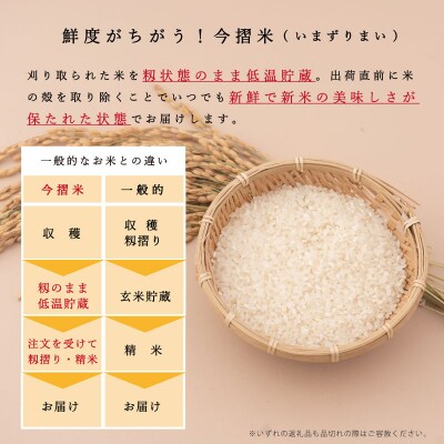 【令和7年産】定期便 無洗米 5kg 12回 籾貯蔵今摺米きたくりん 【A-027】