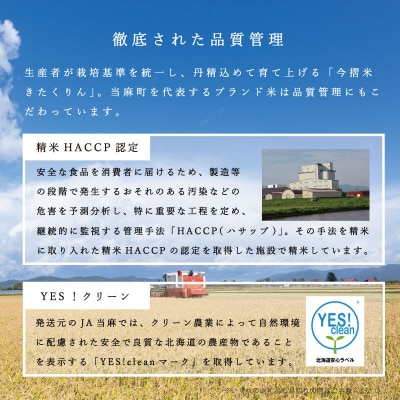 【令和6年産】定期便 無洗米 5kg 12回 籾貯蔵今摺米きたくりん 【A-027】