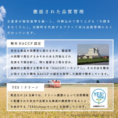 【令和7年産】定期便 無洗米 5kg 12回 籾貯蔵今摺米きたくりん 【A-027】