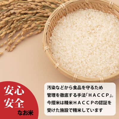 【令和7年産】定期便 無洗米 5kg 12回 籾貯蔵今摺米きたくりん 【A-027】