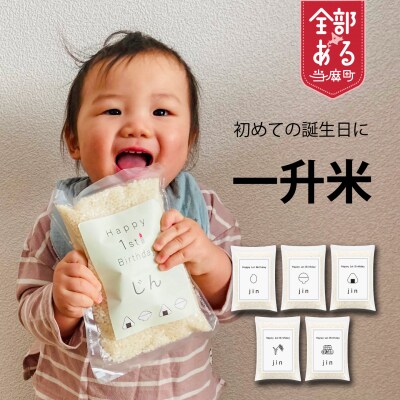 一升米 小分け 名入れ 5品種食べ比べ 選び取りカード付【U-016】