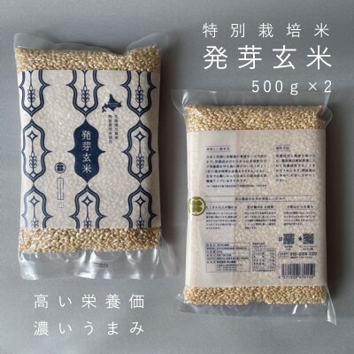 令和4年産 特別栽培米発芽玄米1kg(500g×2)【AB-005】