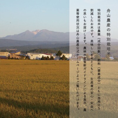 特別栽培米米粉3個【AB-008】
