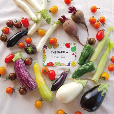 先行受付 2023年産こだわり野菜セット THE FARM A 【AD-001】