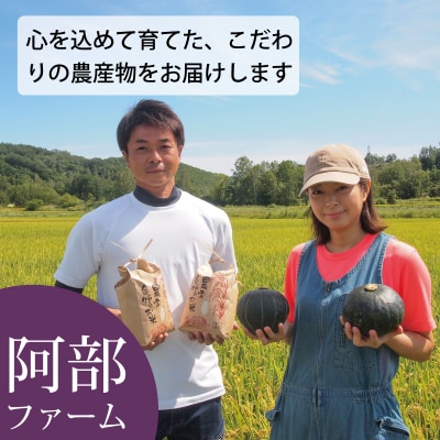 【2026年産先行受付】かぼちゃ10kg阿部ファーム産ダークホース【AE-001】