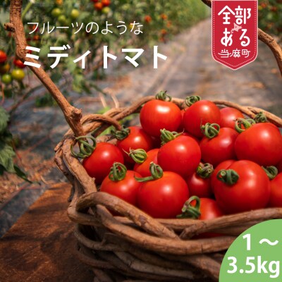 2024年産先行受付 のんの畑北海道 ミディトマト 2kg【G-007】