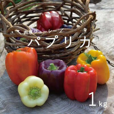 2024年産先行受付 のんの畑北海道 パプリカ1kg【G-008】