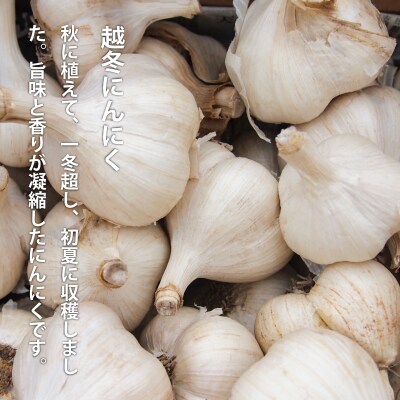 にんにくこめ油漬け小瓶(125g)×2個セット万能調味料【AK-004】