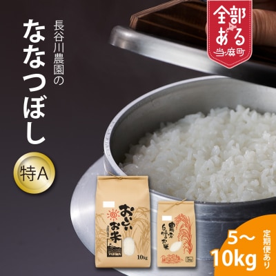 【令和8年産米】長谷川農園ななつぼし10kg 6回コース『定期便』【U-021】
