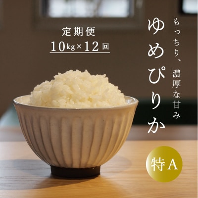 長谷川農園ゆめぴりか10kg 12回コース『定期便』【U-024】
