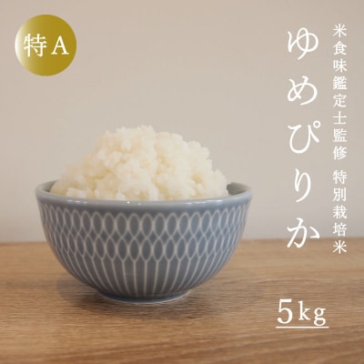 【令和7年産先行受付】特別栽培米 ゆめぴりか 5kg 北海道【AB-013】