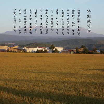 特別栽培米 ゆめぴりか 10kg 北海道【AB-017】