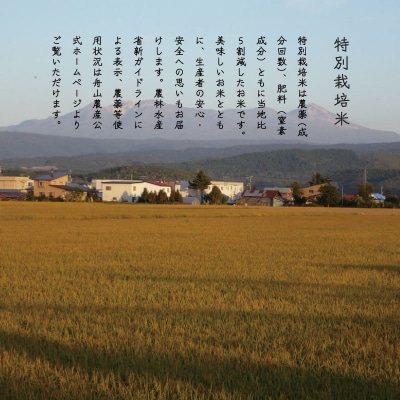 【令和6年産】特別栽培米 きたくりん 10kg 【AB-025】