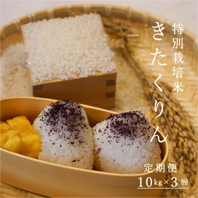 【令和6年産】特別栽培米きたくりん10kg×3回 定期便【AB-026】