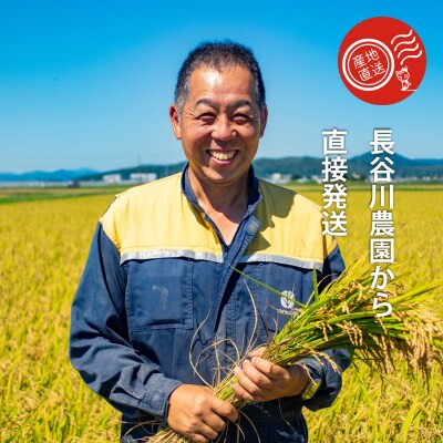 【令和8年産米先行受付】長谷川農園ゆめぴりか5kg 3回コース『定期便』【U-030】