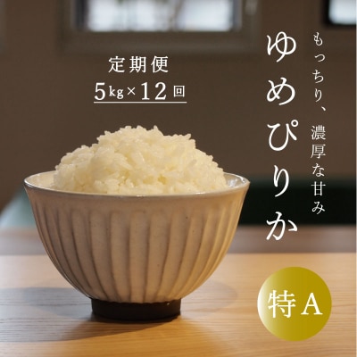 長谷川農園ゆめぴりか5kg 12回コース『定期便』【U-032】
