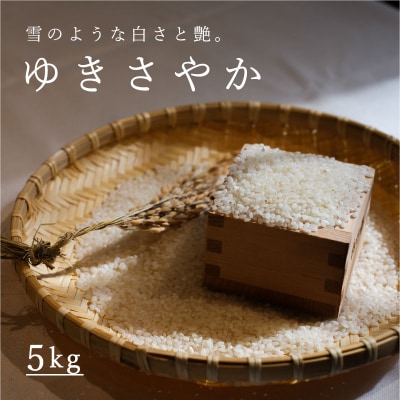 【令和6年産】長谷川農園 ゆきさやか 5kg 【U-041】