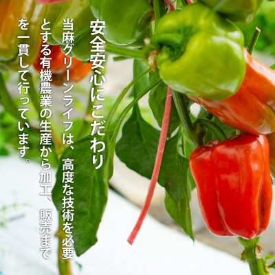 有機塩麹3個セット【T-010】