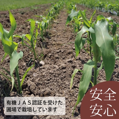 2026年産先行受付　北海道産有機栽培ホワイトコーン【AO-001】