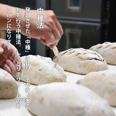 大きな 酵母パン 冷凍発送 森のぱんやさん凜香 【E-006】