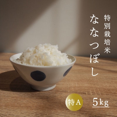 【令和6年産】特別栽培米ななつぼし5kg【AB-029】