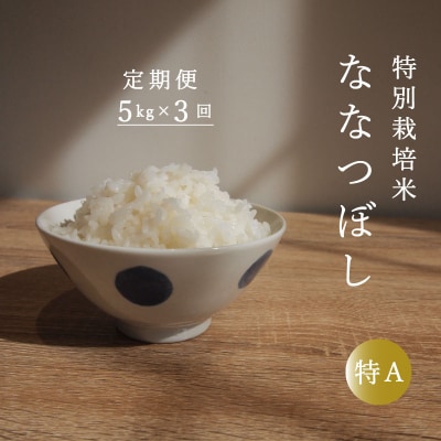 【令和6年産】特別栽培米ななつぼし5kg×3回 定期便【AB-030】