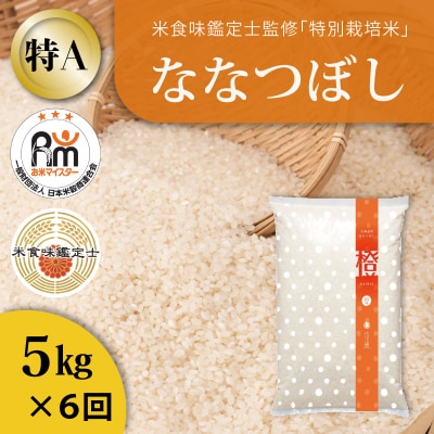 【令和7年産】特別栽培米ななつぼし5kg×6回 定期便【AB-031】