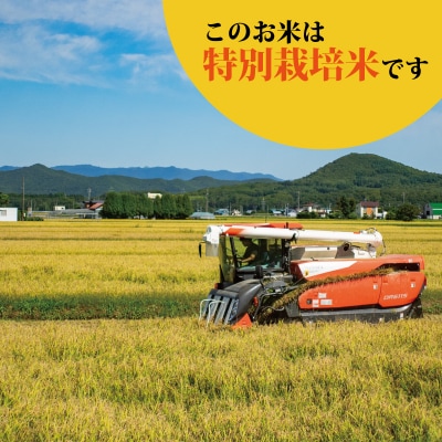 【令和7年産】特別栽培米ななつぼし5kg×6回 定期便【AB-031】