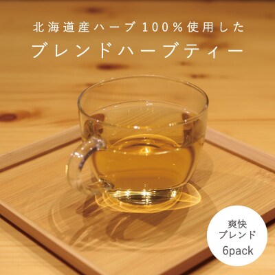 ハーブティー  爽快ブレンド 1袋(6パック)【AF-005】