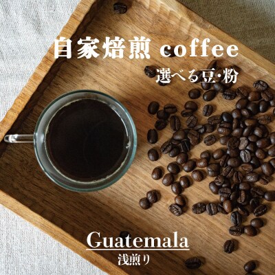 シングルコーヒー豆(グアテマラ浅煎り)90g×3袋【W-026】1