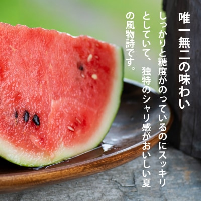 でんすけすいか優品　2026年6月下旬～8月中旬発送分【A-038】