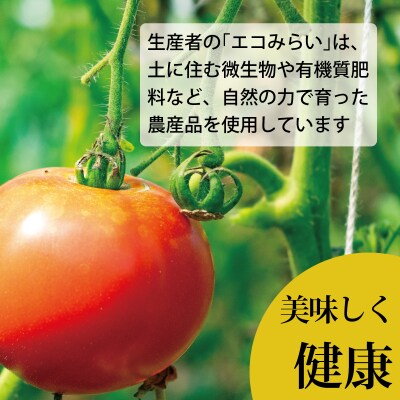 濃厚トマトケチャップセット(230g×3個)【C-007】