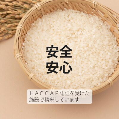 【R7年産】生活応援!価格大幅改定! 無洗米 5kg×3回 籾貯蔵今摺米きたくりん【A-040】