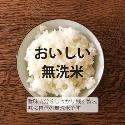 【R7年産】生活応援!価格大幅改定! 無洗米 5kg×3回 籾貯蔵今摺米きたくりん【A-040】