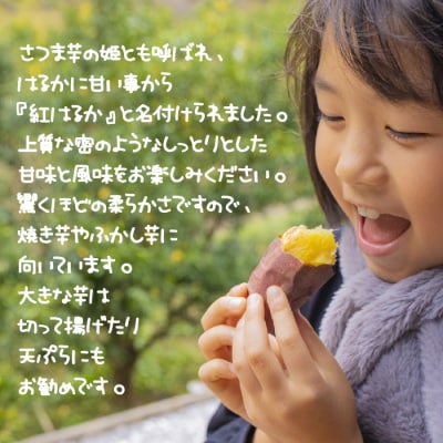 淡路市産さつま芋「土付き紅はるか」大小お任せの5キロ詰合せ　aa45001