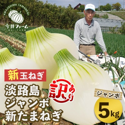 【新たまねぎ】訳アリ品)今井ファームジャンボ淡路島たまねぎ5kg　4月下旬～5月発送　ai01872
