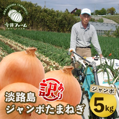 【訳アリ品】今井ファームのジャンボ淡路島たまねぎ 5kg【2L～3L】　ai01874
