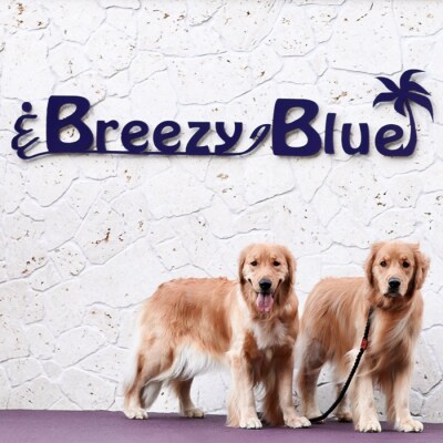 貸別荘BreezyBlue淡路島 ご利用券【10月～3月宿泊限定】10,000円分　ab05004