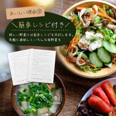【定期便】淡路島の旬の野菜セット 3ヶ月コース(月1回×3回)　ah09802
