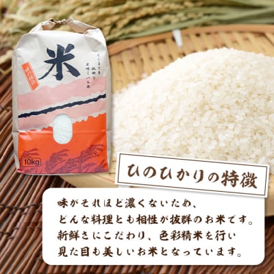 淡路島産 津田農園. ひのひかり 10kg　ah20801