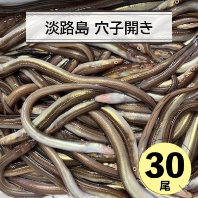 淡路島 穴子開き30尾　an07809