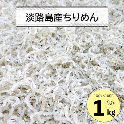 淡路島産ちりめん1キロ(100g×10PC)　an07815