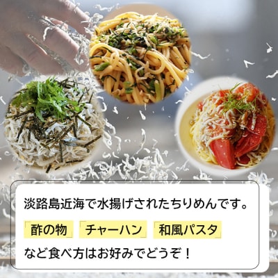 淡路島産ちりめん1キロ(100g×10PC)　an07815