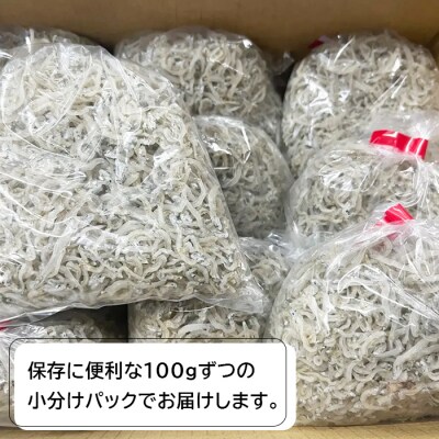 淡路島産ちりめん1キロ(100g×10PC)　an07815