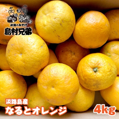 淡路島産　淡路島なるとオレンジ　4kg　as02018