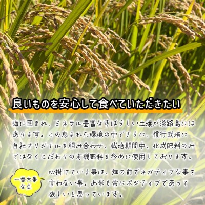 数量限定 獲れたて淡路島産ヒノヒカリ 新米 「米HAPPY」  5kg袋入り　aa46007