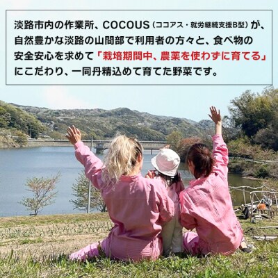 淡路島産じゃがいもセット 5kg【栽培期間中、無農薬栽培】　at18005