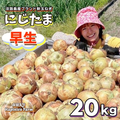 淡路島産ブランド新玉ねぎ 早生 「にじたま」  20kgダンボール入　aa46012