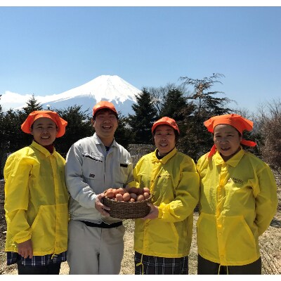 富士山の恵”忍野のたまご”‐コクの赤玉‐30個入
