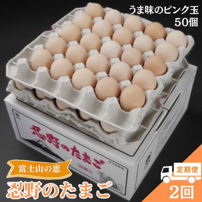 【毎月定期便】【新鮮な玉子】富士山の恵 忍野のたまご‐うま味のピンク玉‐50個入全2回